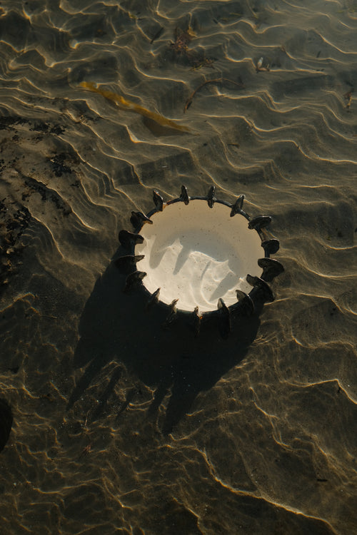 Urchin Bowl
