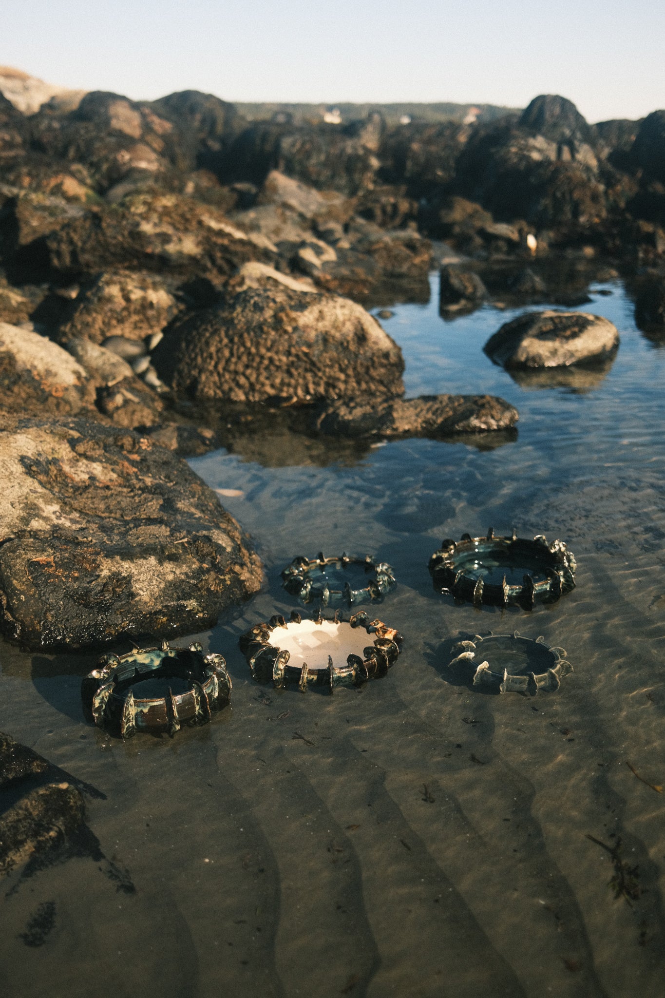 Urchin Bowl